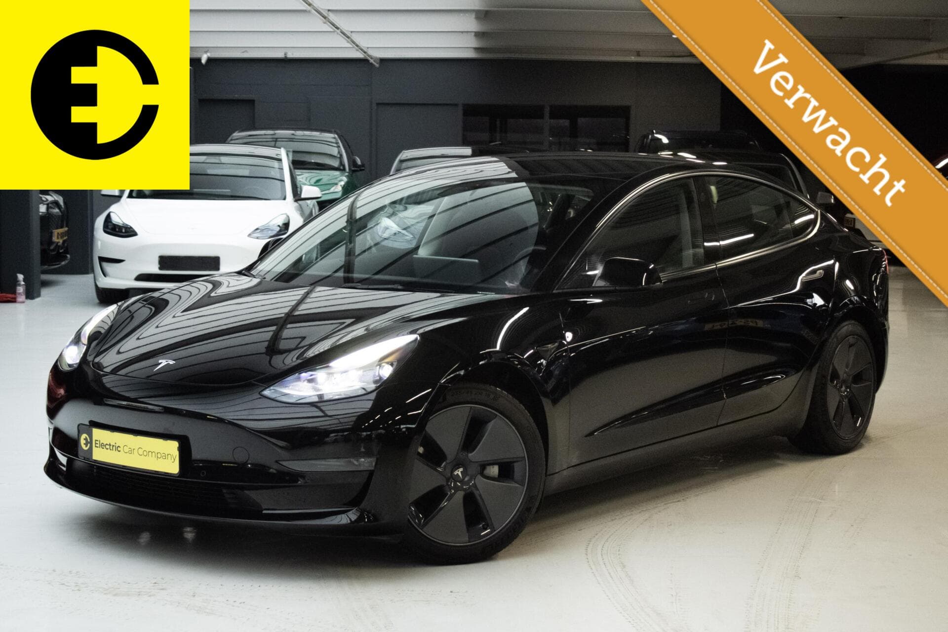 Tesla Model 3 2021-12