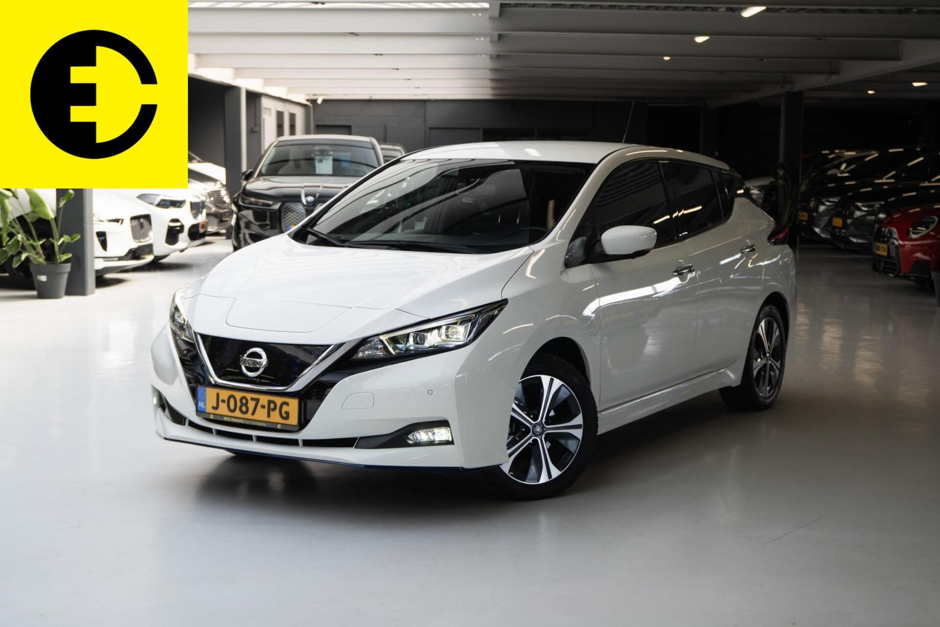 Nissan Leaf 2020-09