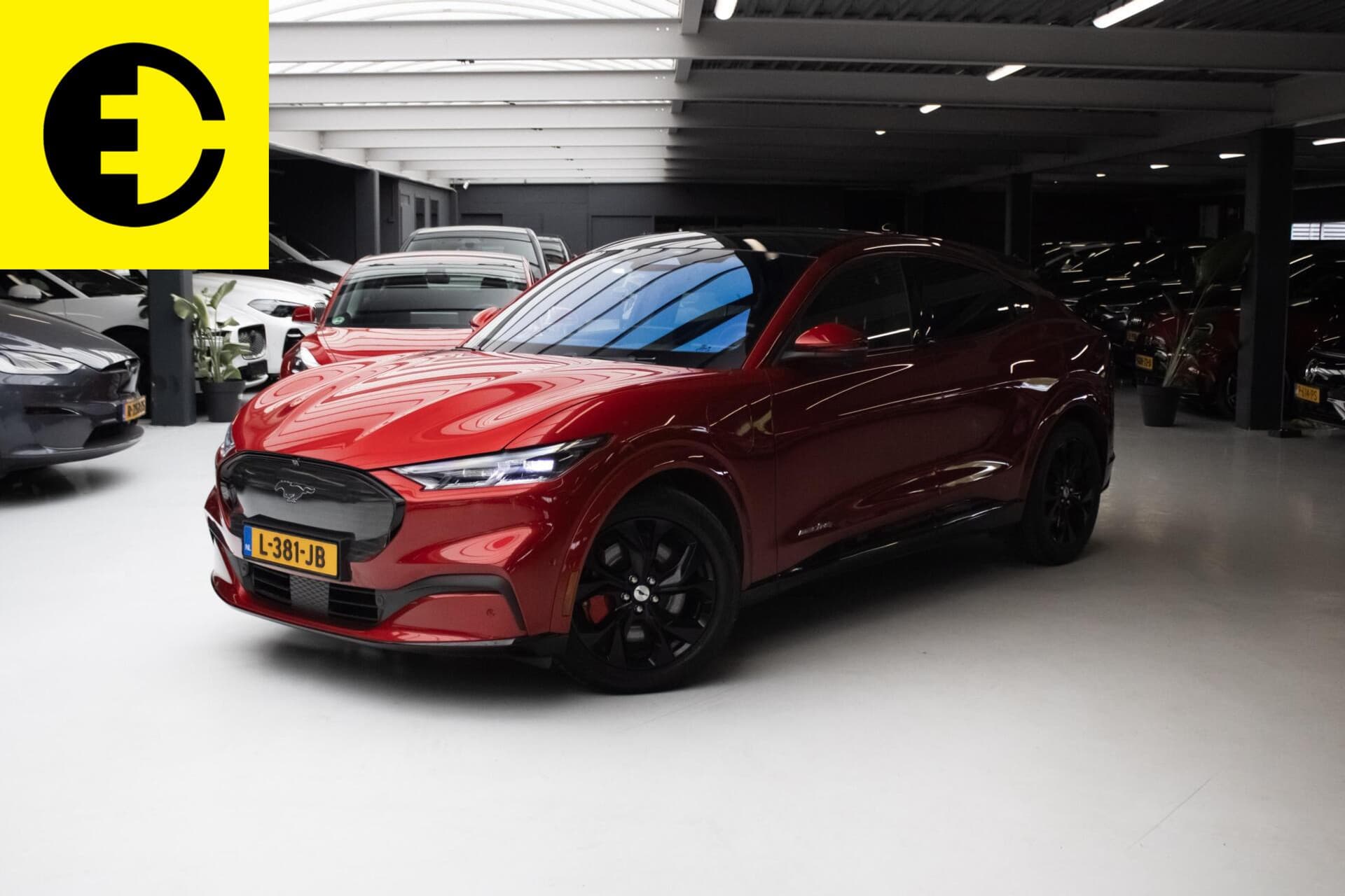 Ford Mustang Mach-E 2021-05