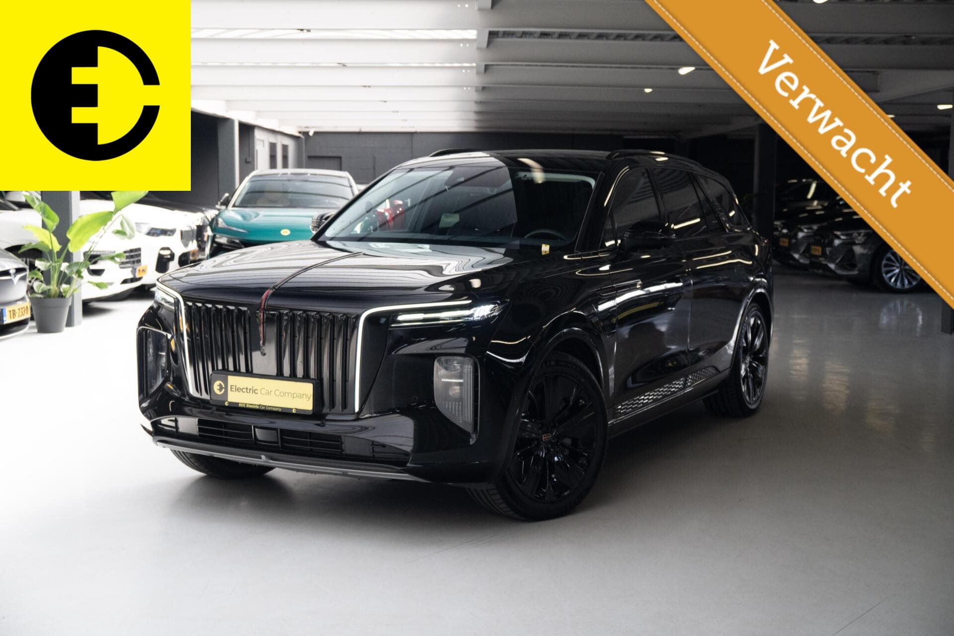 Hongqi E-HS9 2023-01