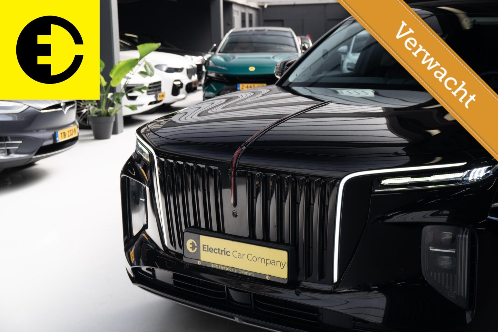 Hongqi E-HS9 Exclusive | 112KWH | SOH 97,7% | Panorama dak | Incl.BTW – foto 2