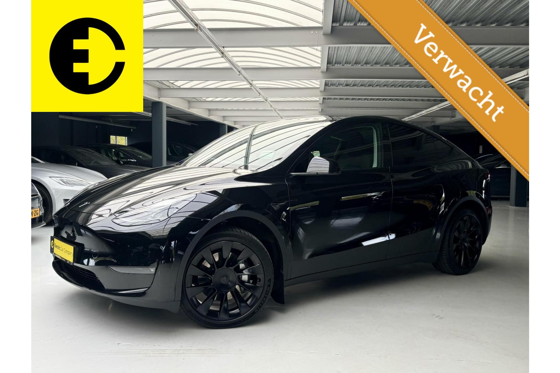 Tesla Model Y 2023-06