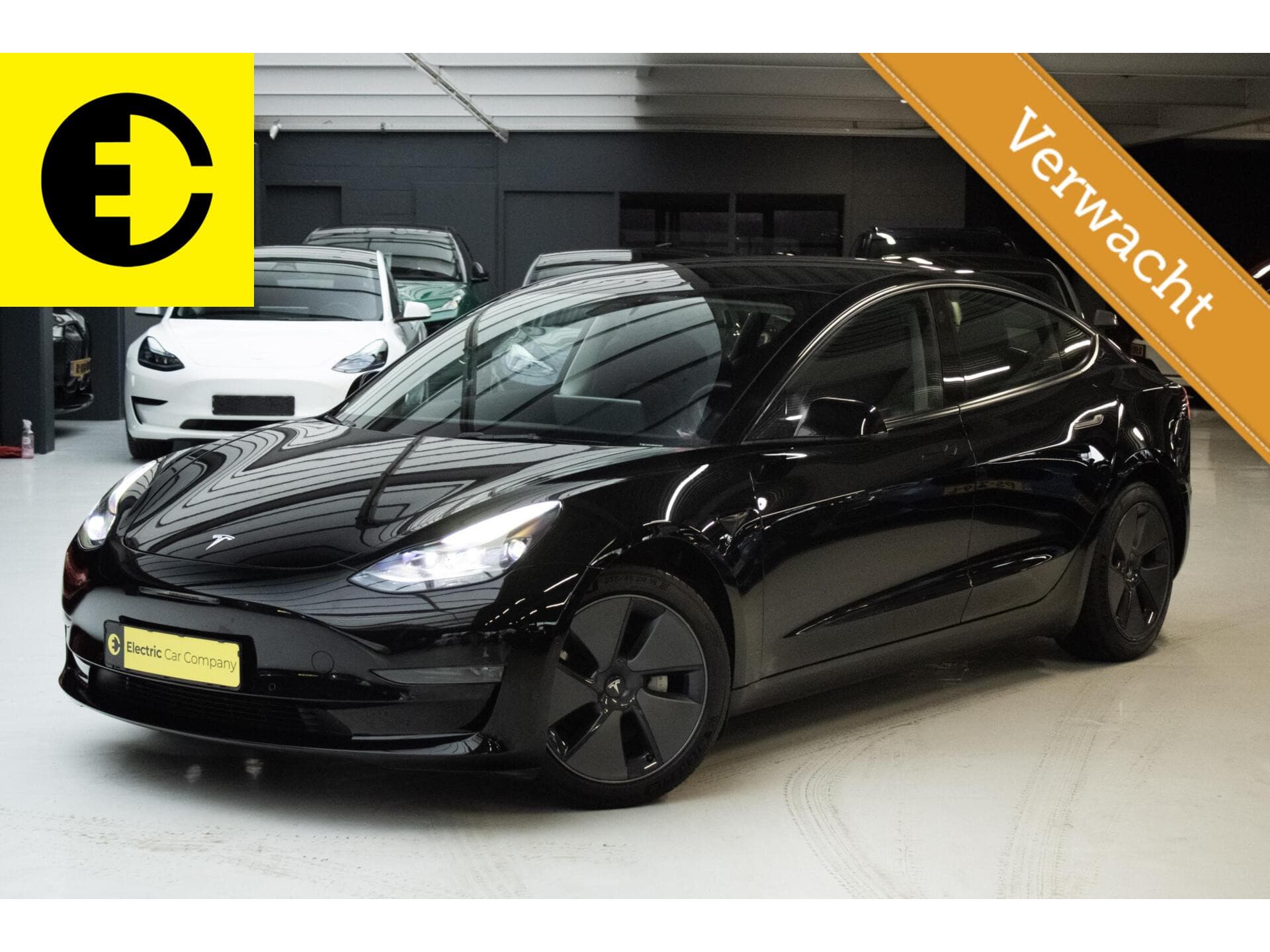 Tesla Model 3 2023-03