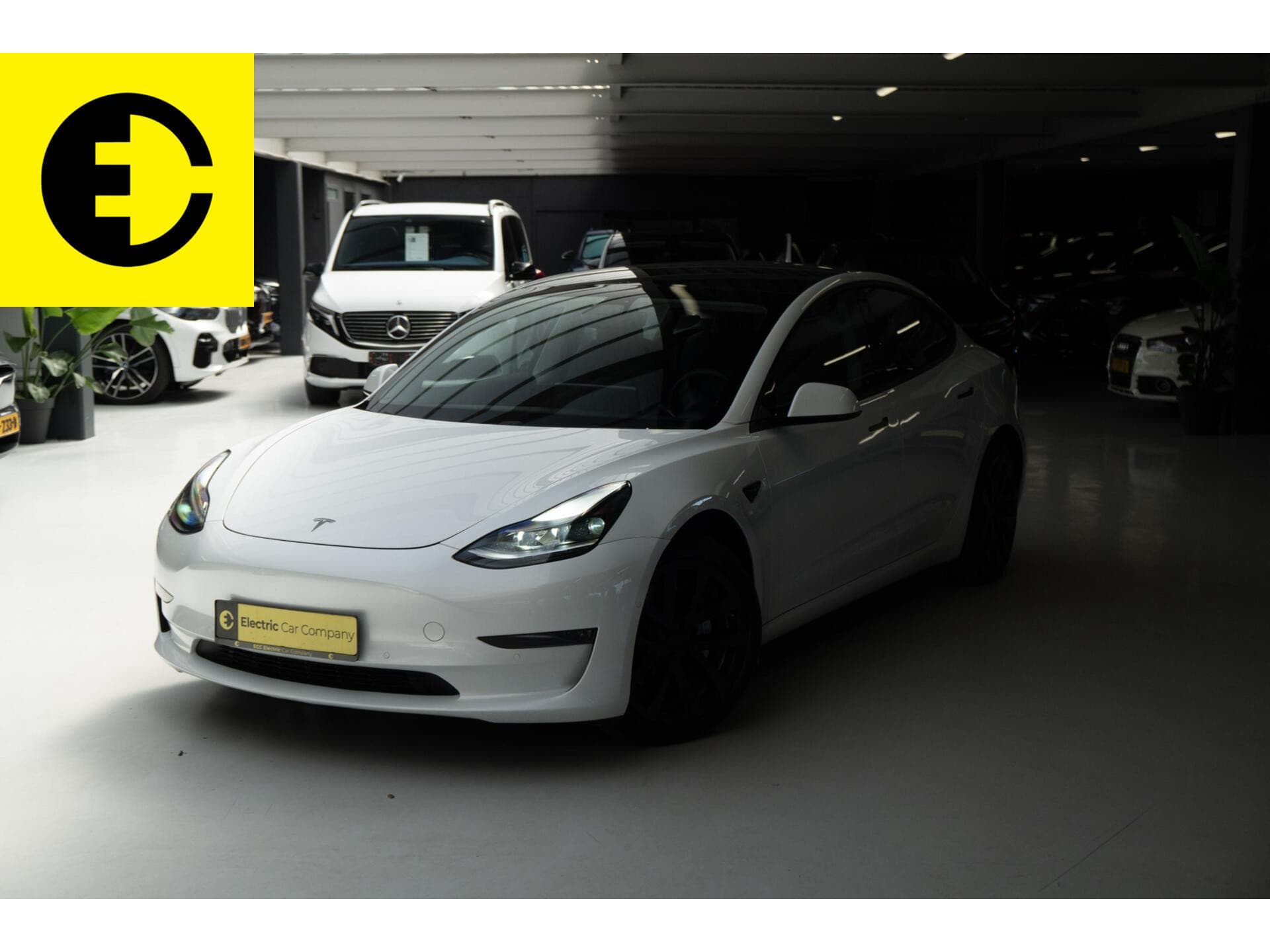 Tesla Model 3 2021-03