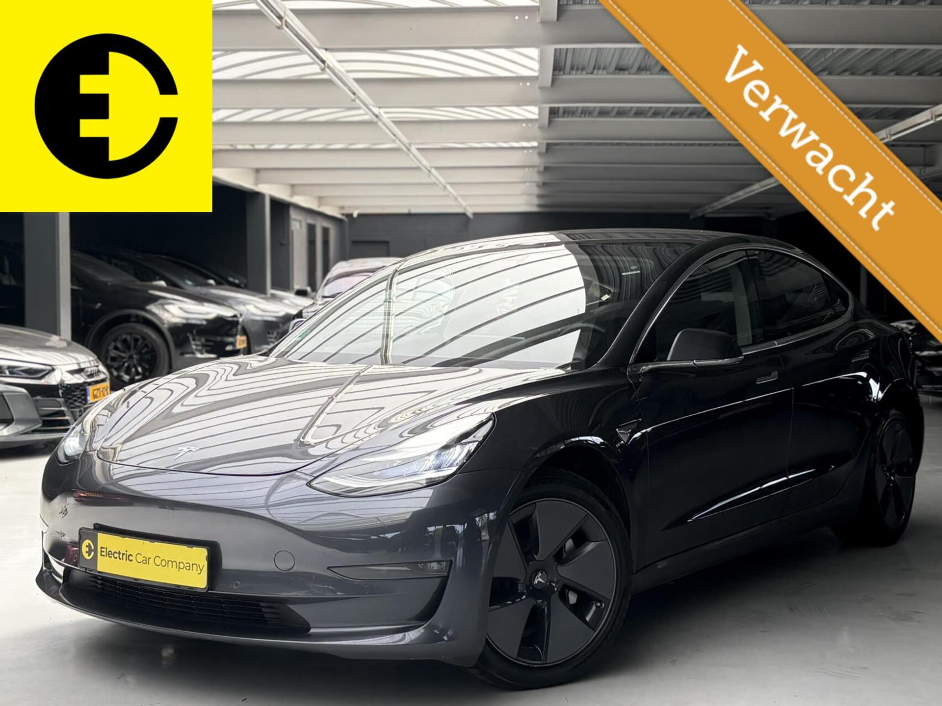 Tesla Model 3 2019-03
